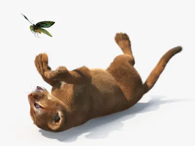  Playful Puma Cub with Butterfly Fur 