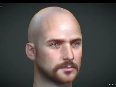 Male head Realistic Perfect Head Low-poly Low-poly 3D model