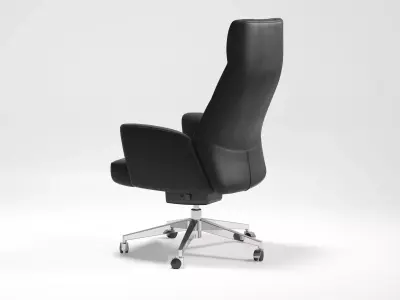 DS 257 Office Chair 3D model