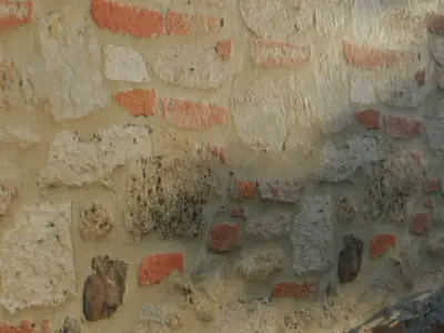 Two Seamless Tuscany House Walls Textures Texture