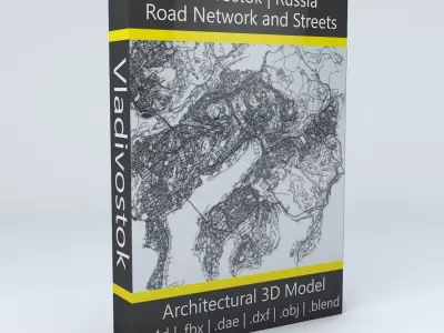 Vladivostok Road Network and Streets 3D model