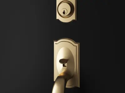 Entry Door Handle 3D model