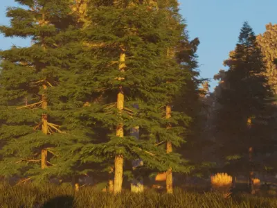 Autumn forest 3D model