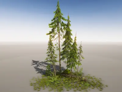 Northern Spruce Forest Low-poly 3D model