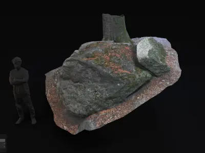 Beech forest ground - 4 o 6 - scan PBR Game ready Collection Low-poly 3D model