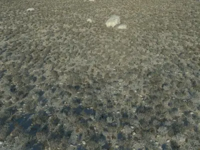  Desert Landscape 6 3D model