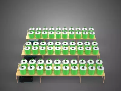 DUTCH BUCKET HYDROPONIC CROP PLANT FACTORY GREENHOUSE PRODUCTION 3D model