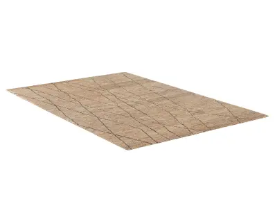 BHANDARA JUTE RUG Camel 3D model