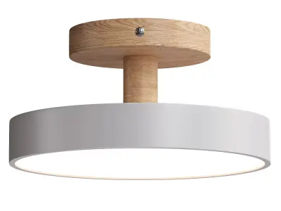  Colorful Round Flush Mount Ceiling Light 3D model