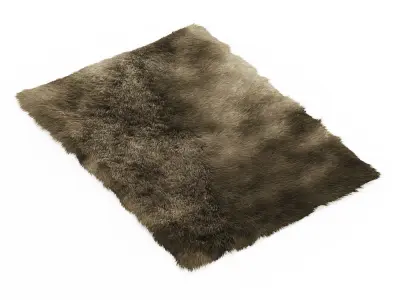 Fluffy rectangular carpet 3D model