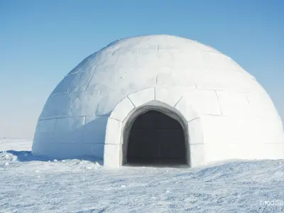 Igloo in snow 3D model