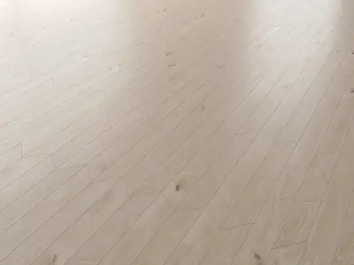  Parquet Oak Arctic NEW Brushed set 6 3D model