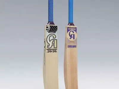 Cricket Bat CA 3D model