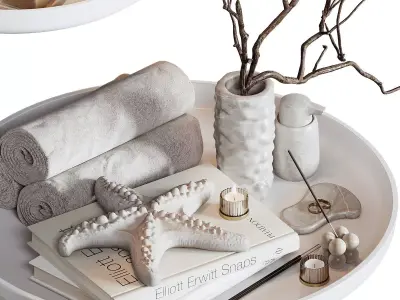 Bathroom Accessories 77 3D model