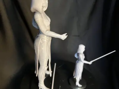 Mistress of the Dark Side 3D print model