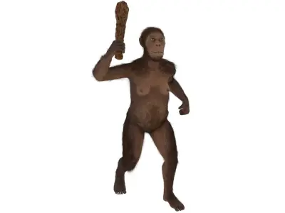  Prehistoric Hominid with Wooden Club in Attack Pose Fur for Cinema 4D 