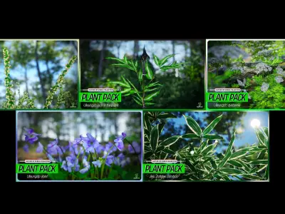 MEGA PLANT PACK - 10 Korea Endemic Species 02 Pack Low-poly 3D model