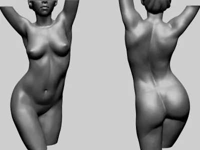 Female Torso C 3D model