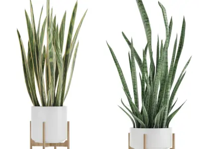 Collection plant indoor vol 1- 150 pot plant 3D Model Pack