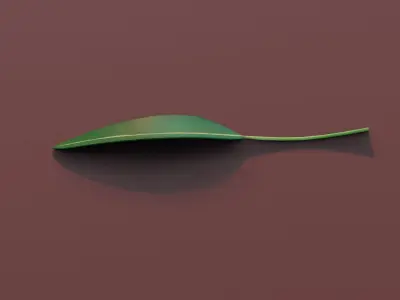 Cartoon Eucalyptus Leaf 3D Model Low-poly 3D model