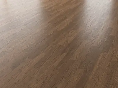 Parquet Oak Black Walnut Brushed set 7 3D model