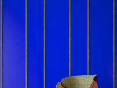 Iranian colors 3D model