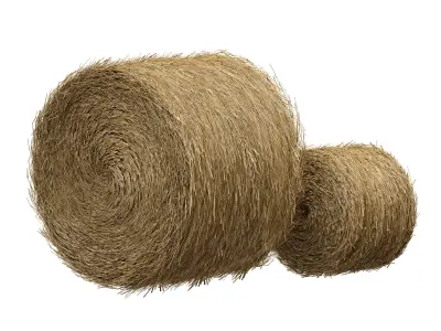 Hay in rolls Straw in rolls 3D model