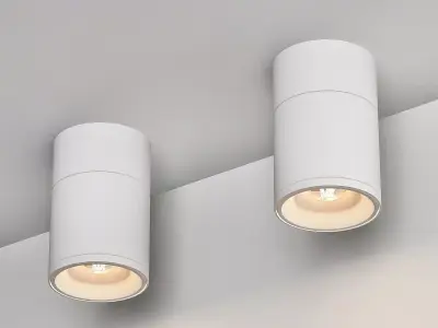 Ceiling Lamps CENTRSVET 12 3D model