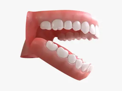  Teeth 