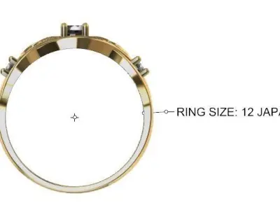 Women Rings 3D print model