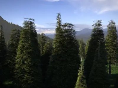 Pine Forest 3d Scene 3D model