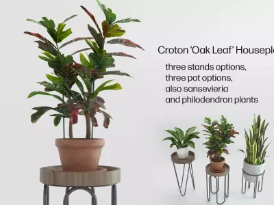Plant Stands with Three Houseplants 3D model