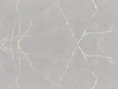 Light Grey Marble with White Veins Texture