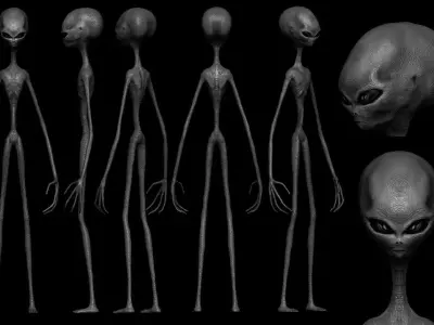 grey alien 3D model