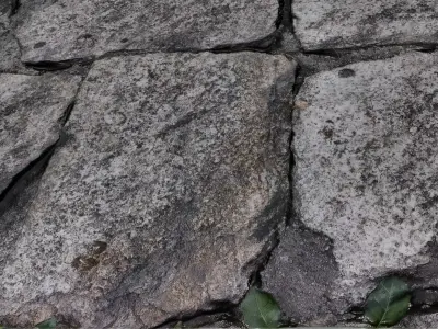 Stone Wall with Leaves 3D model