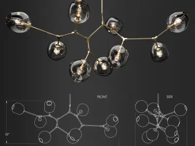 Branching bubble and G and C Bolle 3D model