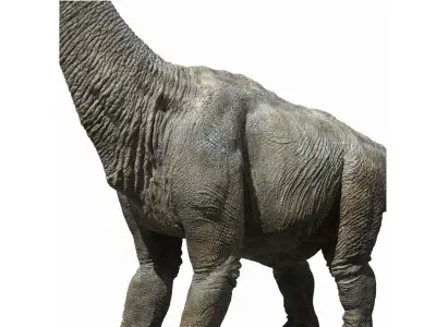  Brachiosaurus Rigged 3D 