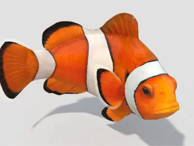  Clownfish (Animated) 