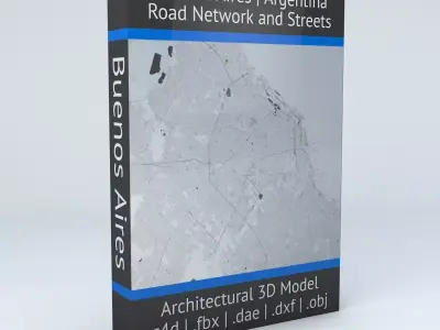 Buenos Aires Road Network and Streets 3D model