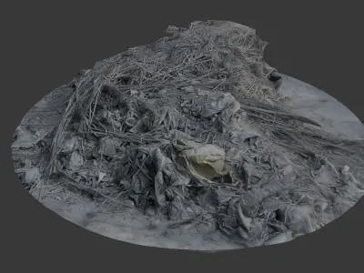 Organic Debris and Vegetation Texture Scan Low-poly 3D model
