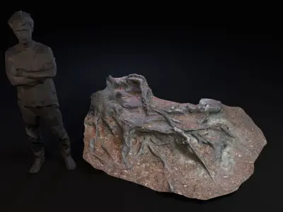 Beech forest ground - 3 of 6 - scan PBR Game ready Free low-poly 3D model