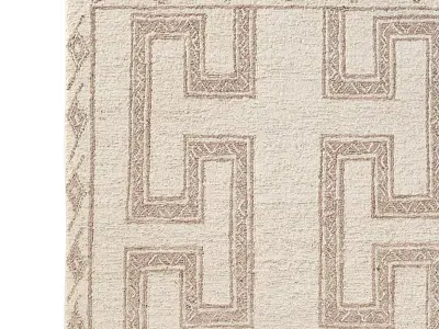 ANIKET JUTE RUG 3D model