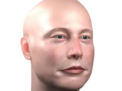 Elon Musk skin textured 3D portrait  Low-poly 3D model