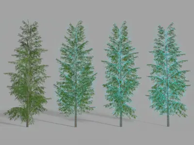 Eucalyptus tree 1 Low-poly 3D model