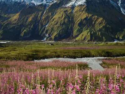 Mountain River Valley Environment - Unity 2017 Project Low-poly 3D model