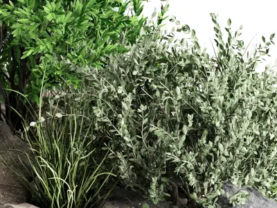 Stone and Bush Pack 23 3D model