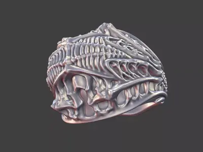bioorganic giger style ring  v1 3D print model