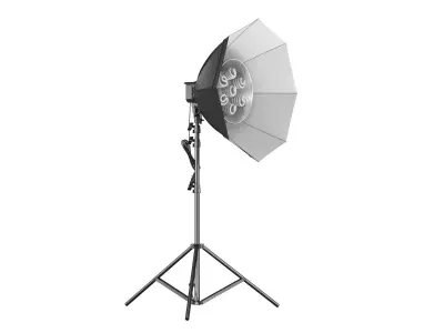 Softbox Raya Octa Fluorescent 3D model
