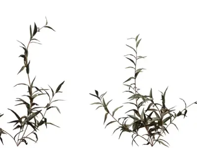 Realistic Dry Shrub Clump  Low-poly 3D model