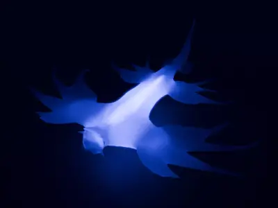  Sea slugs Indirect lighting 3D model